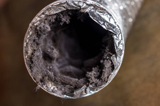 Best Air Duct Cleaning Company Near Me  in Deschutes River Woods, OR